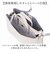 【当商品送料無料】Legato Largo ショルダーバッグ LH-F3371 通販 レガートラルゴ ミニショルダーバッグ 斜めがけバッグ