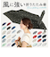 【当商品送料無料】傘 レディース 耐風 通販 折りたたみ傘 55cm 折り畳み amusant sous la pluie おしゃれ シンプル 大人