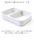 【当商品送料無料】SKATER スケーター お弁当箱 キャラクター PM4CA 1段 通販 日本製 食品保存容器 容器 弁当箱 保存容器