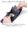 【当商品送料無料】ALTROSE アルトローズ 財布 三つ折り リボン 通販 三つ折り財布 折り財布 カード入れ 小銭入れ お札入れ 札入れ コイン