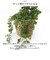 【当商品送料無料】光触媒 フェイクグリーン 通販 観葉植物 フェイク グリーンブッシュ CT触媒 吊り下げ ハンギング 消臭 抗菌 防汚 空気清浄