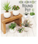 【当商品送料無料】光触媒 フェイクグリーン 通販 観葉植物 フェイク ラウンドポットL CT触媒 卓上 小さい 消臭 抗菌 防汚 空気清浄