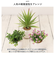 【当商品送料無料】光触媒 フェイクグリーン 通販 観葉植物 フェイク ラウンドポットL CT触媒 卓上 小さい 消臭 抗菌 防汚 空気清浄