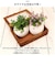 【当商品送料無料】光触媒 フェイクグリーン 通販 観葉植物 フェイク ラウンドポットL CT触媒 卓上 小さい 消臭 抗菌 防汚 空気清浄