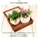 【当商品送料無料】光触媒 フェイクグリーン 通販 観葉植物 フェイク ラウンドポットL CT触媒 卓上 小さい 消臭 抗菌 防汚 空気清浄