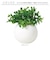 【当商品送料無料】光触媒 フェイクグリーン 通販 観葉植物 フェイク ラウンドポットL CT触媒 卓上 小さい 消臭 抗菌 防汚 空気清浄