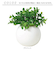【当商品送料無料】光触媒 フェイクグリーン 通販 観葉植物 フェイク ラウンドポットL CT触媒 卓上 小さい 消臭 抗菌 防汚 空気清浄