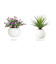 【当商品送料無料】光触媒 フェイクグリーン 通販 観葉植物 フェイク ラウンドポットL CT触媒 卓上 小さい 消臭 抗菌 防汚 空気清浄