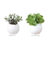 【当商品送料無料】光触媒 フェイクグリーン 通販 観葉植物 フェイク ラウンドポットL CT触媒 卓上 小さい 消臭 抗菌 防汚 空気清浄