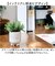 【当商品送料無料】光触媒 フェイクグリーン 通販 インテリアグリーン 人工観葉植物 イミテーショングリーン 植物 飾る ポット 陶器 置物