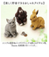 【当商品送料無料】キシマ 貯金箱 かわいい 通販 置物 オブジェ マネーバンク 木彫り調 木彫調 アニマル 動物 北欧 取り出せる 小銭 おこづかい