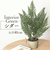 【当商品送料無料】観葉植物 フェイク 大型 通販 フェイクグリーン アーティフィシャルグリーン インテリアグリーン 人工観葉植物 大きめ 鉢植え