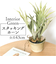 【当商品送料無料】観葉植物 フェイク 大型 通販 フェイクグリーン スタッグホーン アーティフィシャルグリーン コウモリラン インテリアグリーン