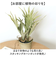 【当商品送料無料】観葉植物 フェイク 大型 通販 フェイクグリーン スタッグホーン アーティフィシャルグリーン コウモリラン インテリアグリーン