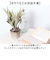 【当商品送料無料】観葉植物 フェイク 大型 通販 フェイクグリーン スタッグホーン アーティフィシャルグリーン コウモリラン インテリアグリーン