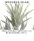 【当商品送料無料】観葉植物 フェイク 大型 通販 フェイクグリーン スタッグホーン アーティフィシャルグリーン コウモリラン インテリアグリーン