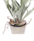 【当商品送料無料】観葉植物 フェイク 大型 通販 フェイクグリーン スタッグホーン アーティフィシャルグリーン コウモリラン インテリアグリーン