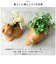 【当商品送料無料】光触媒 フェイクグリーン 通販 イミテーション 消臭 抗菌 造花 陶器 木目調 アニマル インテリアグリーン 植物 飾る 飾り