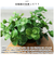 【当商品送料無料】光触媒 フェイクグリーン 通販 イミテーション 消臭 抗菌 造花 陶器 木目調 アニマル インテリアグリーン 植物 飾る 飾り