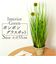 【当商品送料無料】観葉植物 フェイク 大型 通販 フェイクグリーン ポンポングラス アーティフィシャルグリーン インテリアグリーン 人工観葉植物