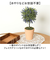 【当商品送料無料】造花 鉢植え ラベンダー 通販 観葉植物 フェイク アーティフィシャルフラワー アーティフィシャルグリーン アートフラワー