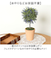 【当商品送料無料】造花 鉢植え ラベンダー 通販 観葉植物 フェイク アーティフィシャルフラワー アーティフィシャルグリーン アートフラワー