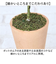 【当商品送料無料】造花 鉢植え ラベンダー 通販 観葉植物 フェイク アーティフィシャルフラワー アーティフィシャルグリーン アートフラワー