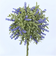 【当商品送料無料】造花 鉢植え ラベンダー 通販 観葉植物 フェイク アーティフィシャルフラワー アーティフィシャルグリーン アートフラワー