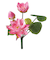 【当商品送料無料】蓮 花 造花 通販 蓮の花 はすの花 アーティフィシャルフラワー アーティフィシャルグリーン アートフラワー フェイクフラワー