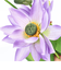 【当商品送料無料】蓮 花 造花 通販 蓮の花 はすの花 アーティフィシャルフラワー アーティフィシャルグリーン アートフラワー フェイクフラワー