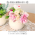 【当商品送料無料】観葉植物 フェイク 小さい 通販 フェイクグリーン アーティフィシャルグリーン インテリアグリーン 人工観葉植物 卓上 小さめ