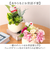 【当商品送料無料】観葉植物 フェイク 小さい 通販 フェイクグリーン アーティフィシャルグリーン インテリアグリーン 人工観葉植物 卓上 小さめ