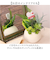 【当商品送料無料】観葉植物 フェイク 小さい 通販 フェイクグリーン アーティフィシャルグリーン インテリアグリーン 人工観葉植物 卓上 小さめ