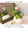 【当商品送料無料】観葉植物 フェイク 小さい 通販 フェイクグリーン アーティフィシャルグリーン インテリアグリーン 人工観葉植物 卓上 小さめ