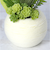 【当商品送料無料】観葉植物 フェイク 小さい 通販 フェイクグリーン アーティフィシャルグリーン インテリアグリーン 人工観葉植物 卓上 小さめ