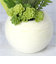 【当商品送料無料】観葉植物 フェイク 小さい 通販 フェイクグリーン アーティフィシャルグリーン インテリアグリーン 人工観葉植物 卓上 小さめ