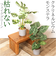 【当商品送料無料】観葉植物 フェイク 大型 通販 フェイクグリーン アーティフィシャルグリーン インテリアグリーン 人工観葉植物 大きめ 鉢植え
