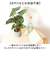 【当商品送料無料】観葉植物 フェイク 大型 通販 フェイクグリーン アーティフィシャルグリーン インテリアグリーン 人工観葉植物 大きめ 鉢植え
