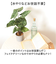 【当商品送料無料】観葉植物 フェイク 大型 通販 フェイクグリーン アーティフィシャルグリーン インテリアグリーン 人工観葉植物 大きめ 鉢植え