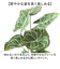 【当商品送料無料】観葉植物 フェイク 大型 通販 フェイクグリーン アーティフィシャルグリーン インテリアグリーン 人工観葉植物 大きめ 鉢植え