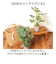 【当商品送料無料】観葉植物 フェイク 大型 通販 フェイクグリーン アーティフィシャルグリーン インテリアグリーン 人工観葉植物 大きめ 鉢植え