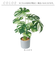 【当商品送料無料】観葉植物 フェイク 大型 通販 フェイクグリーン アーティフィシャルグリーン インテリアグリーン 人工観葉植物 大きめ 鉢植え