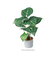 【当商品送料無料】観葉植物 フェイク 大型 通販 フェイクグリーン アーティフィシャルグリーン インテリアグリーン 人工観葉植物 大きめ 鉢植え
