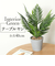 【当商品送料無料】観葉植物 フェイク 大型 通販 フェイクグリーン ヤシ アーティフィシャルグリーン インテリアグリーン 人工観葉植物 大きめ