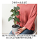 【当商品送料無料】観葉植物 フェイク 大型 通販 フェイクグリーン セローム アーティフィシャルグリーン インテリアグリーン 人工観葉植物 大きめ