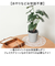 【当商品送料無料】観葉植物 フェイク 大型 通販 フェイクグリーン セローム アーティフィシャルグリーン インテリアグリーン 人工観葉植物 大きめ