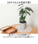 【当商品送料無料】観葉植物 フェイク 大型 通販 フェイクグリーン セローム アーティフィシャルグリーン インテリアグリーン 人工観葉植物 大きめ