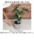 【当商品送料無料】観葉植物 フェイク 大型 通販 フェイクグリーン セローム アーティフィシャルグリーン インテリアグリーン 人工観葉植物 大きめ