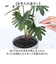【当商品送料無料】観葉植物 フェイク 大型 通販 フェイクグリーン セローム アーティフィシャルグリーン インテリアグリーン 人工観葉植物 大きめ