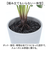 【当商品送料無料】観葉植物 フェイク 大型 通販 フェイクグリーン セローム アーティフィシャルグリーン インテリアグリーン 人工観葉植物 大きめ